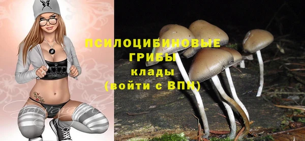 бошки Алзамай