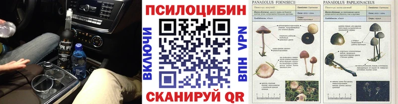 Галлюциногенные грибы прущие грибы  где продают   Анива 